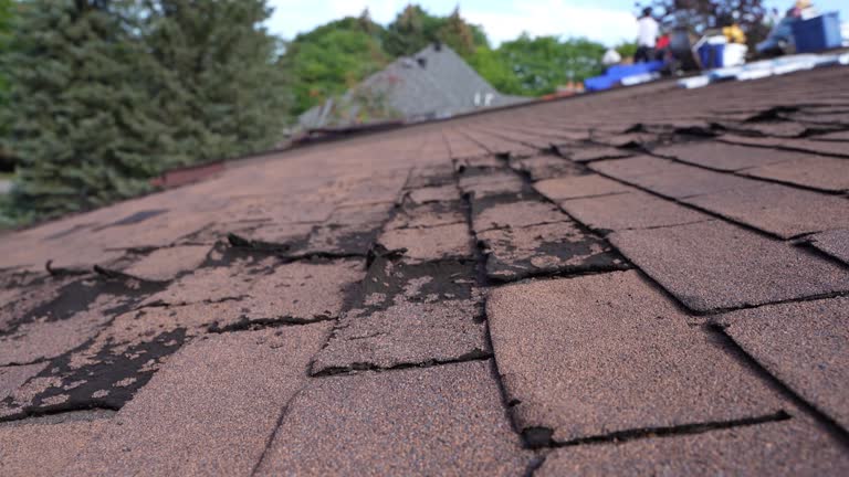 Best Cold Roofs  in Loma Linda, CA