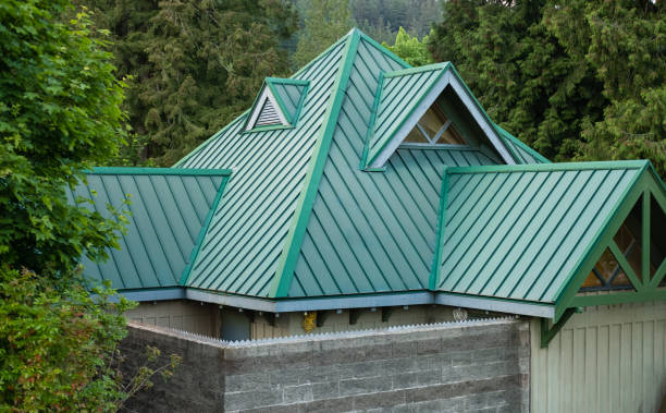 Best Roof Moss and Algae Removal  in Loma Linda, CA
