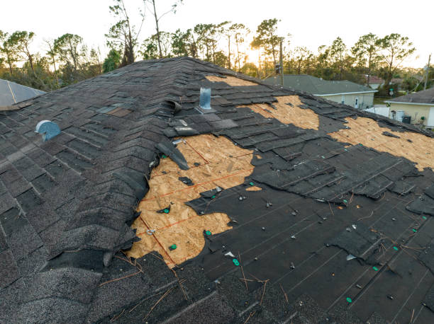 Best Roof Ventilation Installation  in Loma Linda, CA